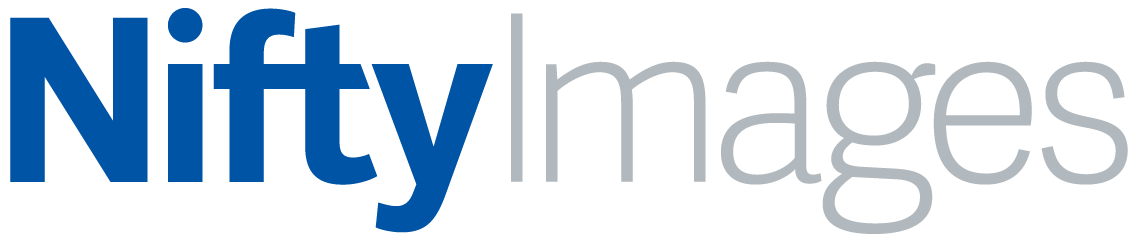 NiftyImages logo
